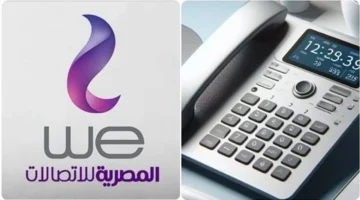 فاتورة نوفمبر.. طريقة جديدة للاستعلام عن التليفون الأرضي برقم المحافظة عبر موقع WE